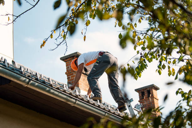 Emergency Roof Repair in Belleville, PA