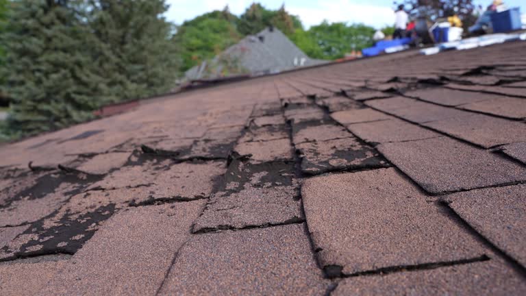 Best Tile Roofing Installation  in Belleville, PA