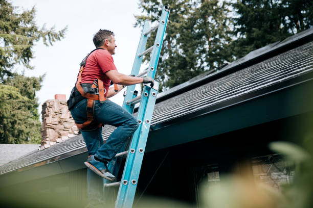 Best Gutter Installation and Repair  in Belleville, PA